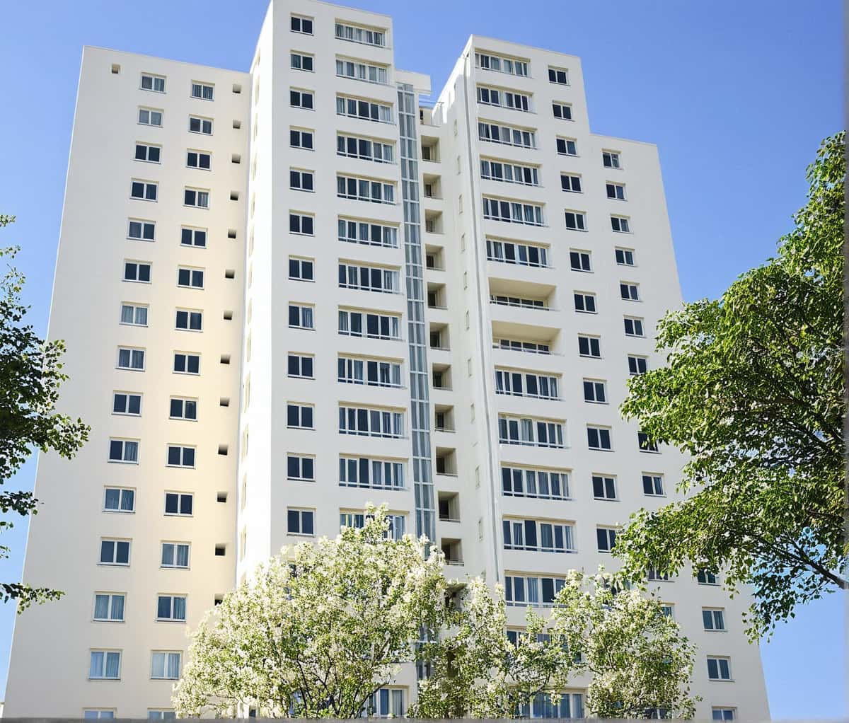 a placeholder image.