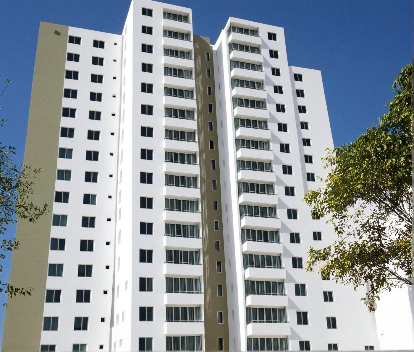 a placeholder image.