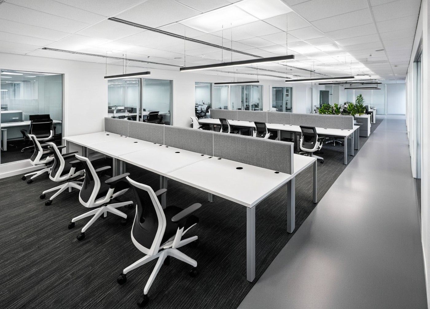 a placeholder image.