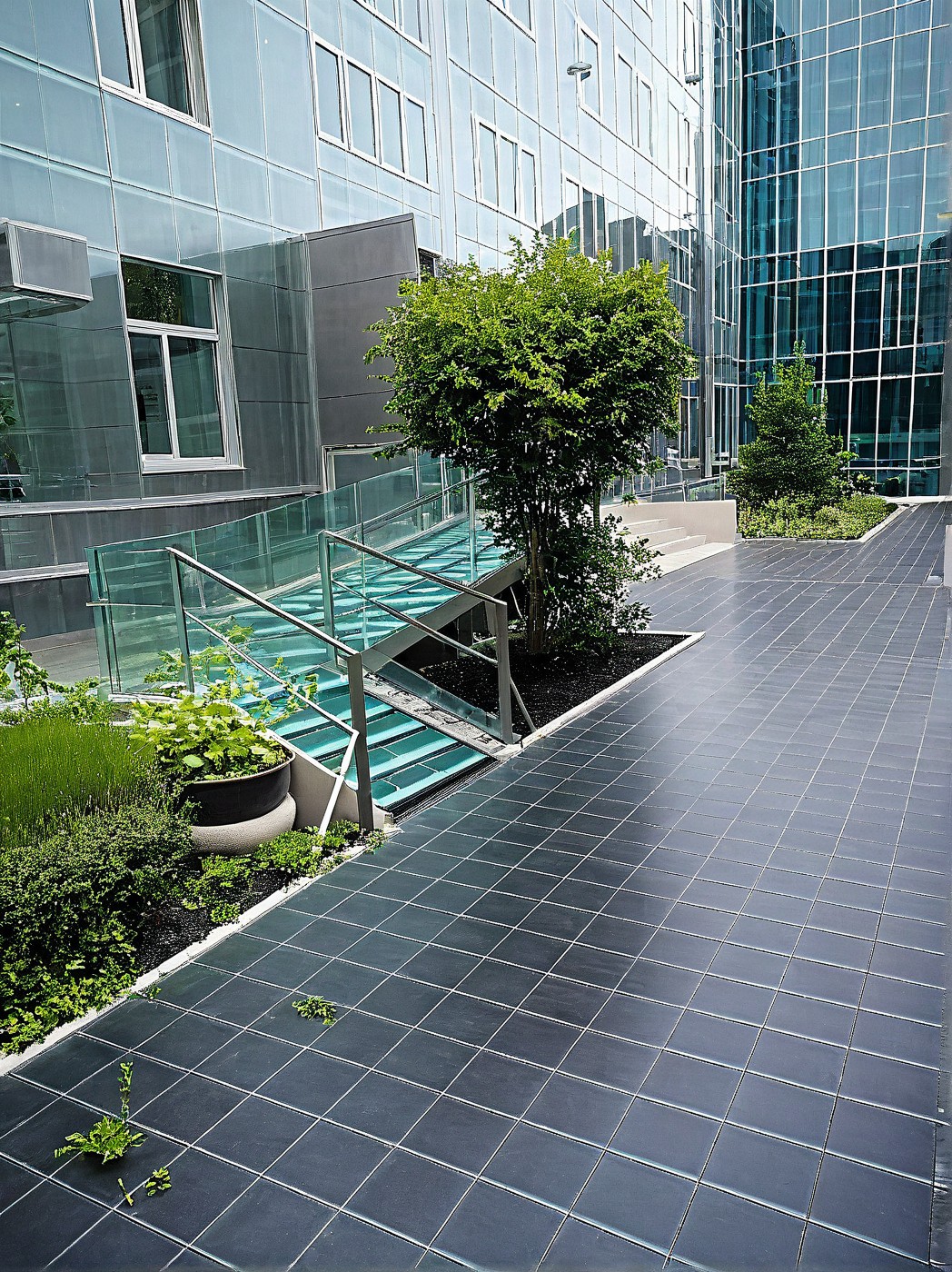 a placeholder image.