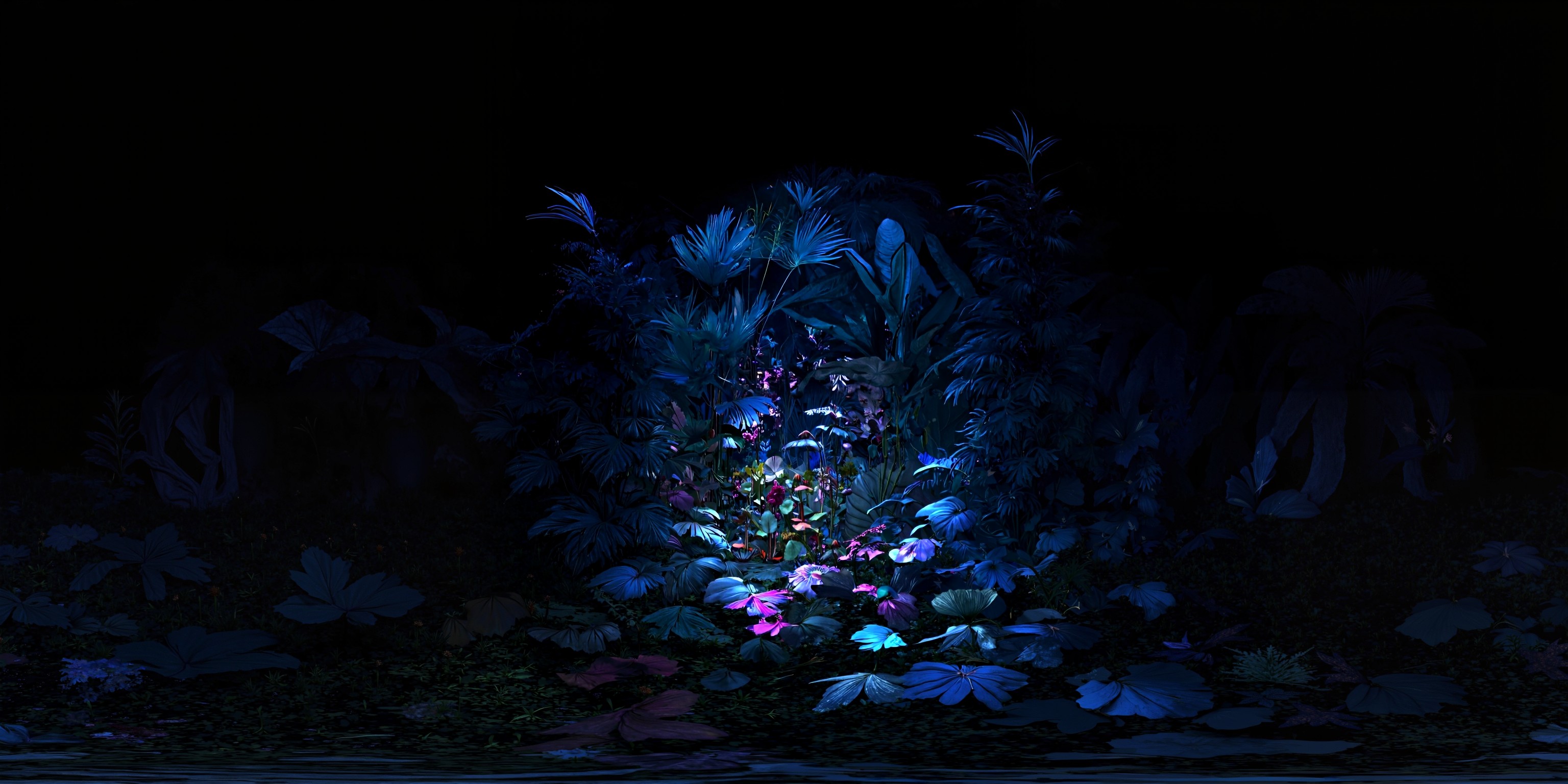 a placeholder image.