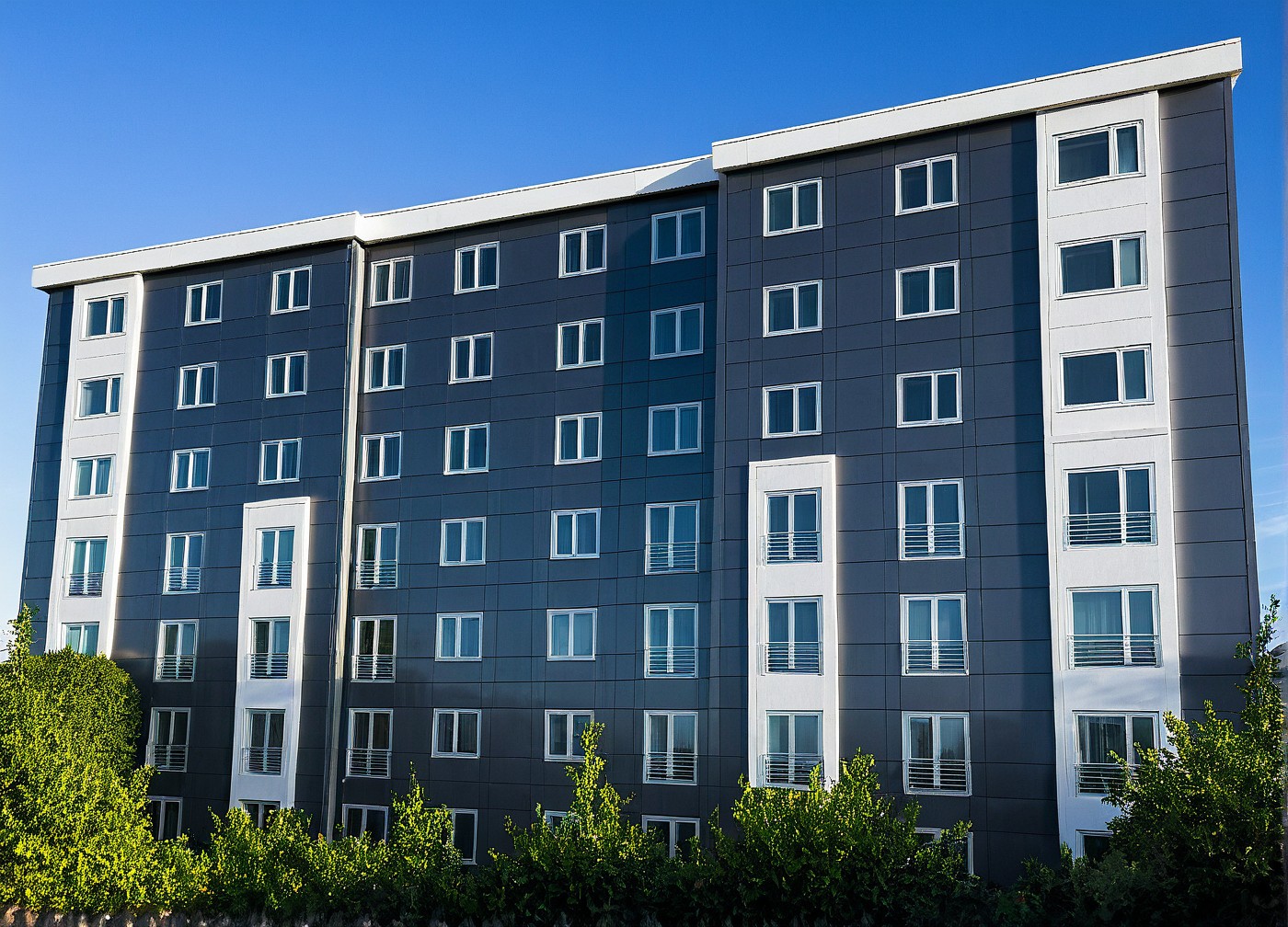 a placeholder image.