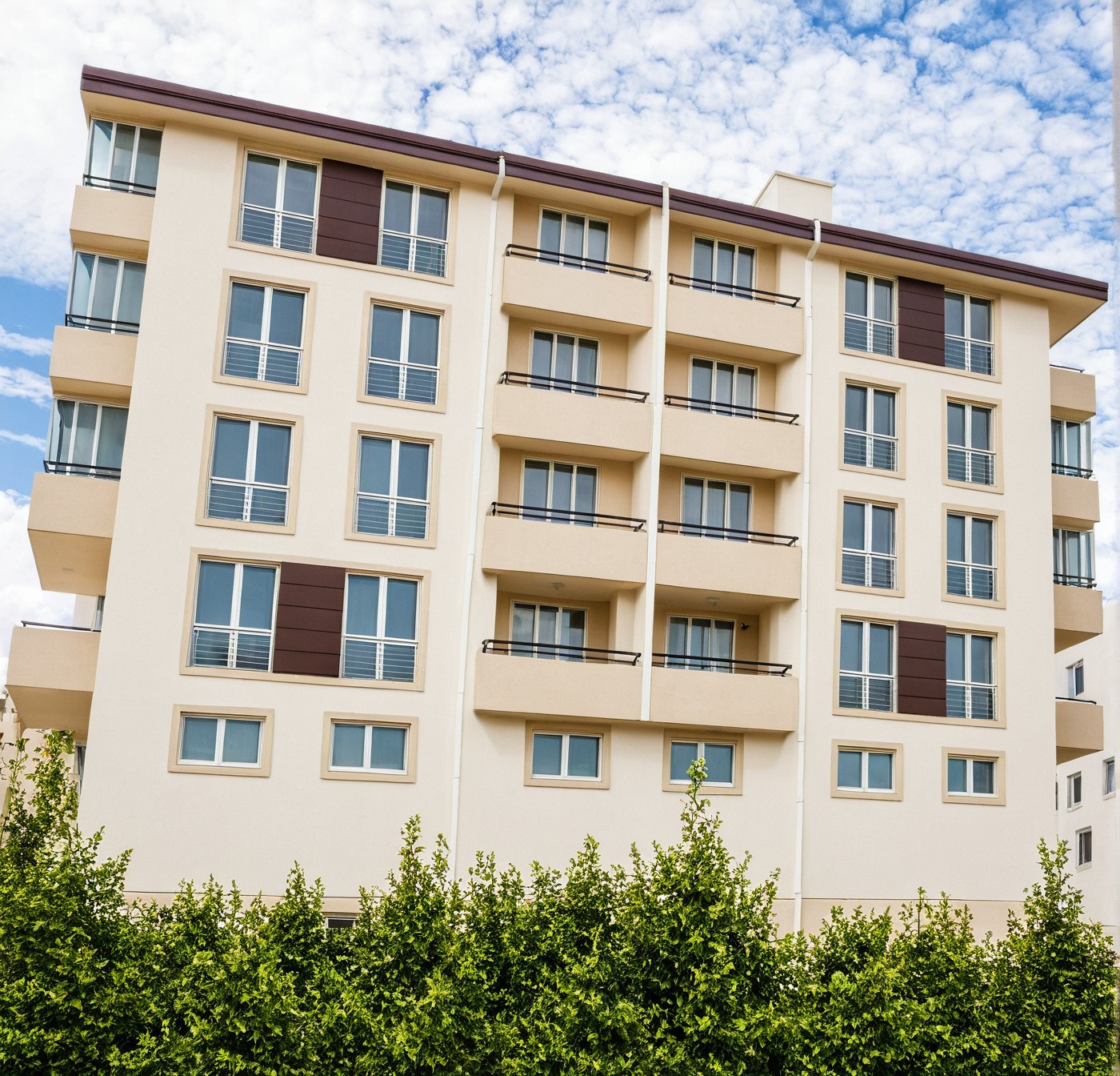 a placeholder image.