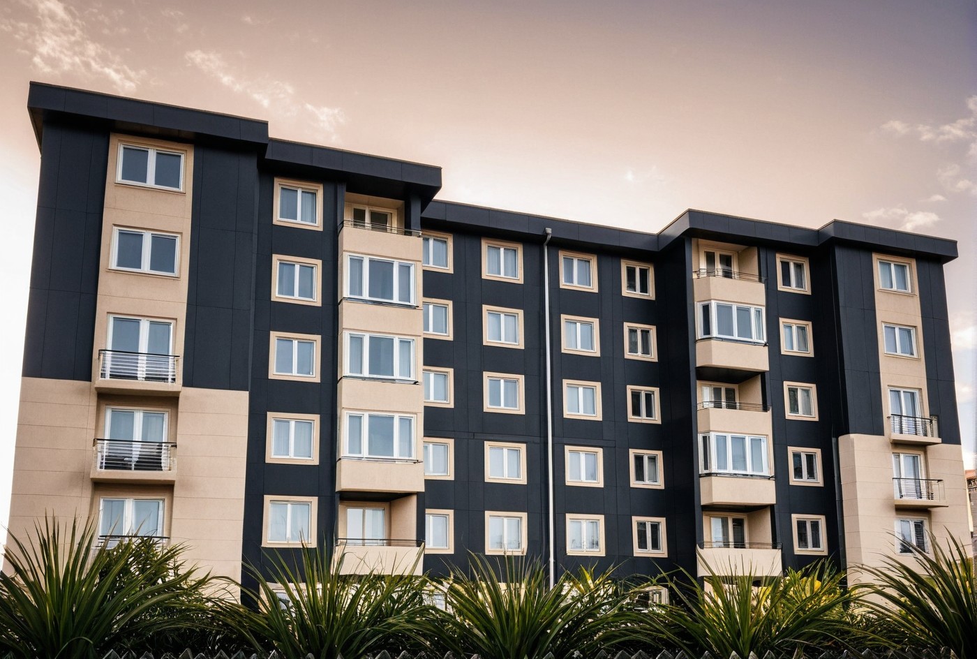 a placeholder image.