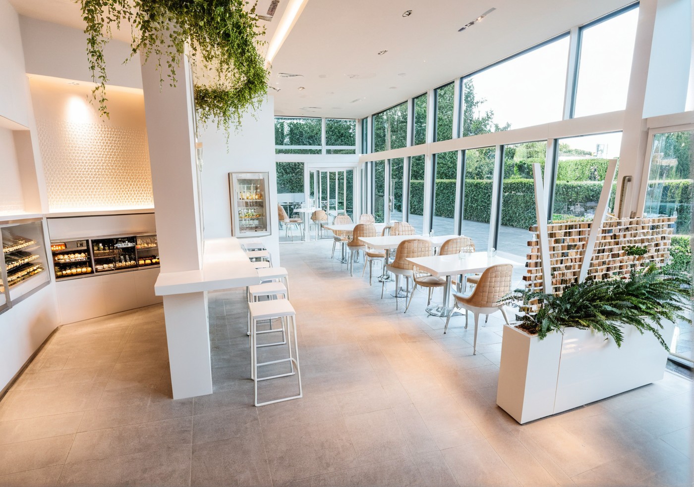 a placeholder image.