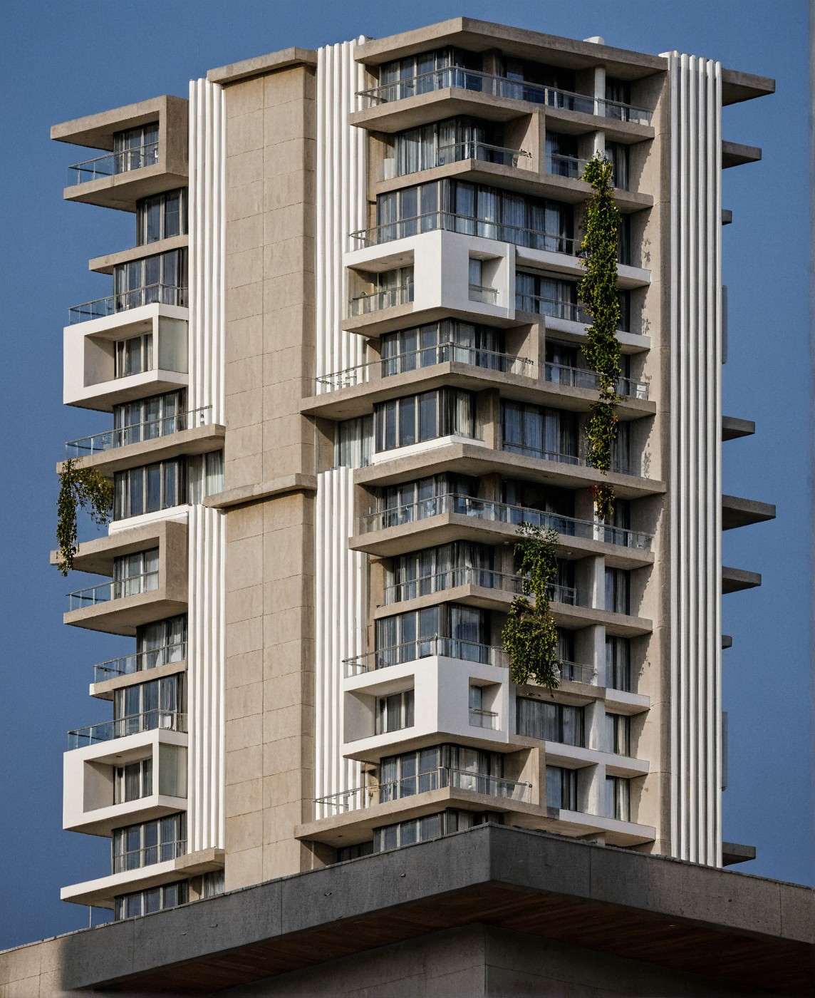 a placeholder image.