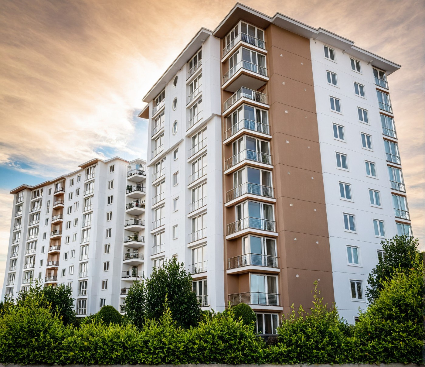 a placeholder image.