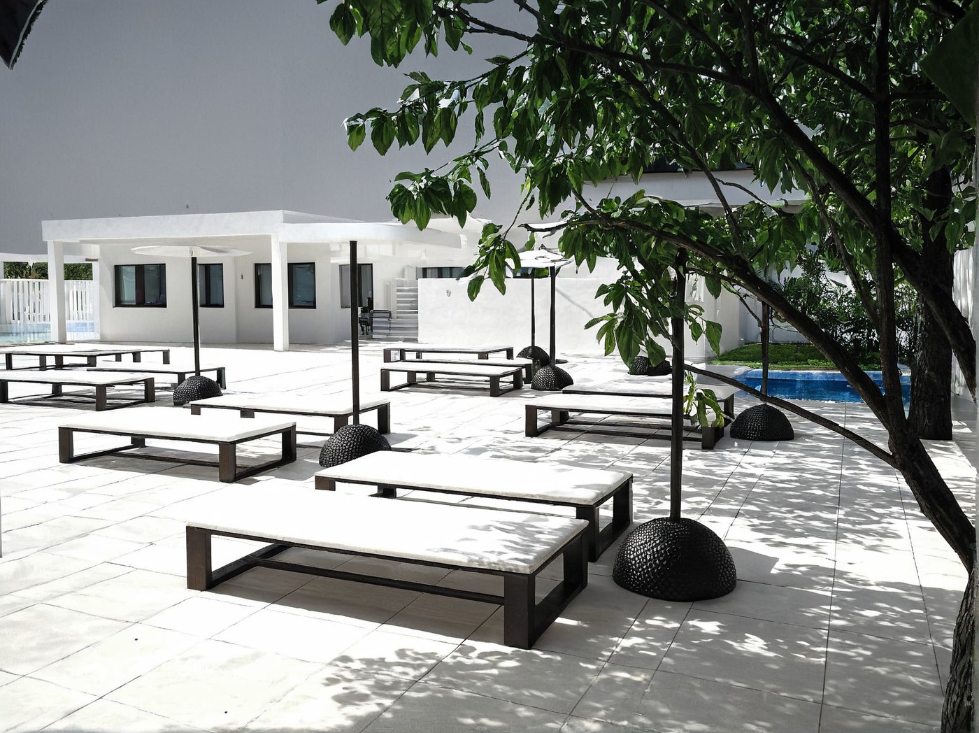 a placeholder image.