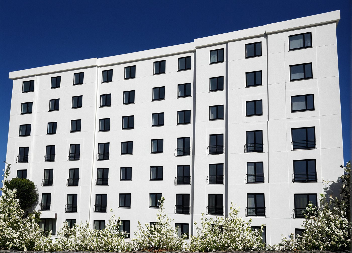 a placeholder image.