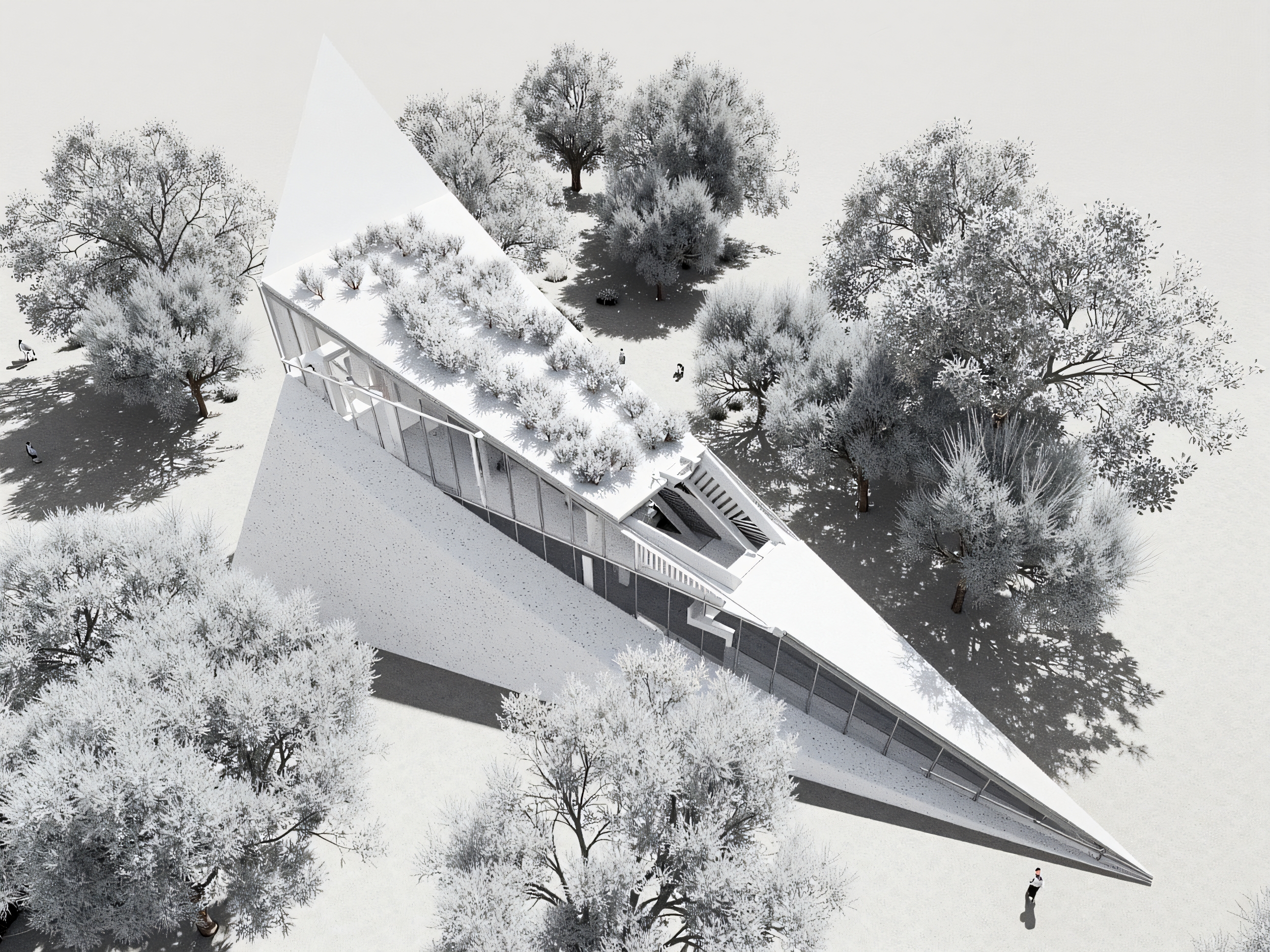 a placeholder image.