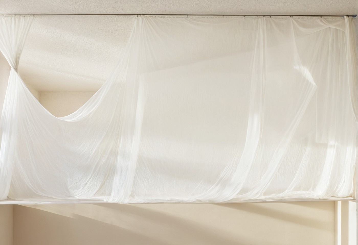 a placeholder image.