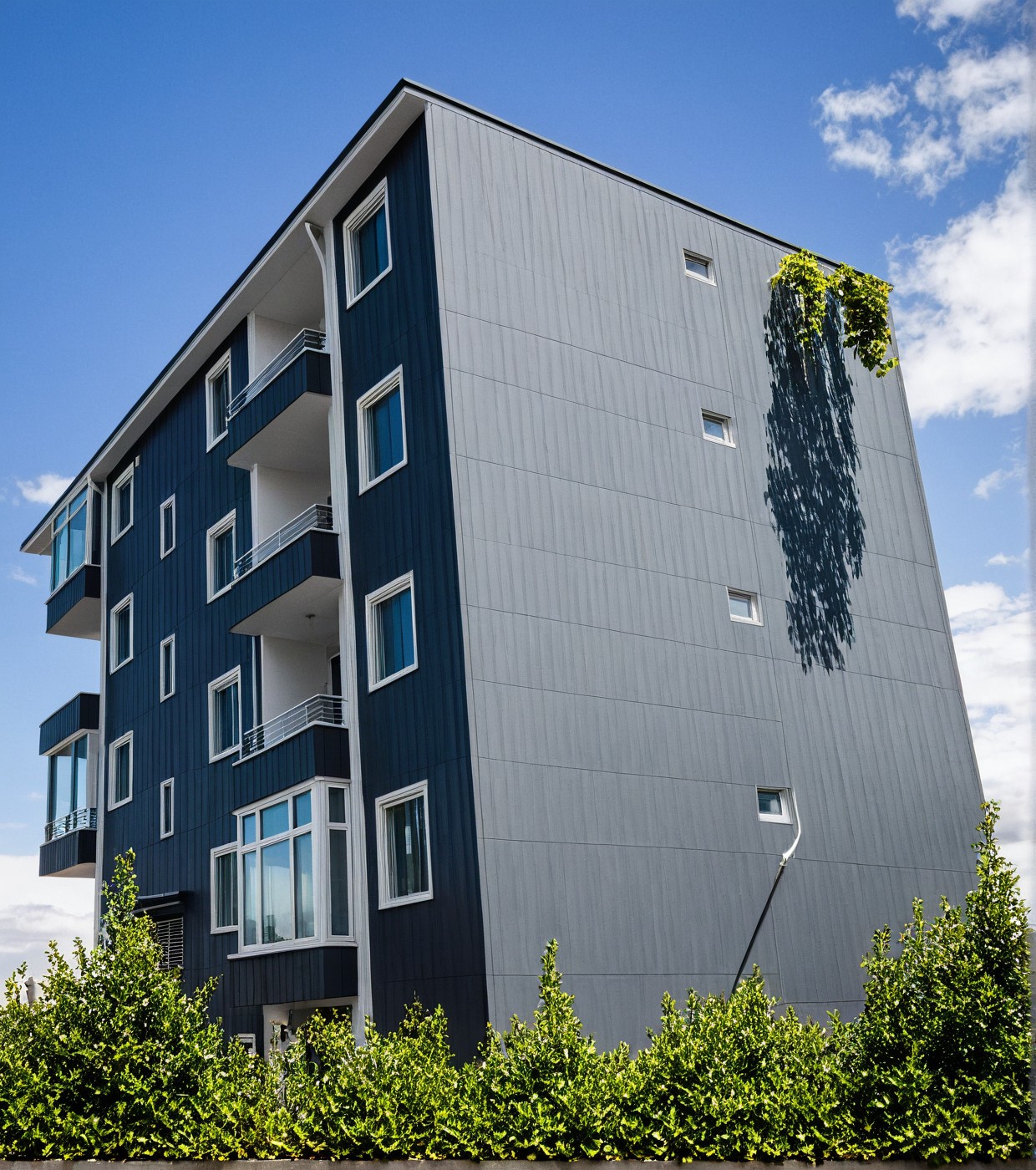 a placeholder image.