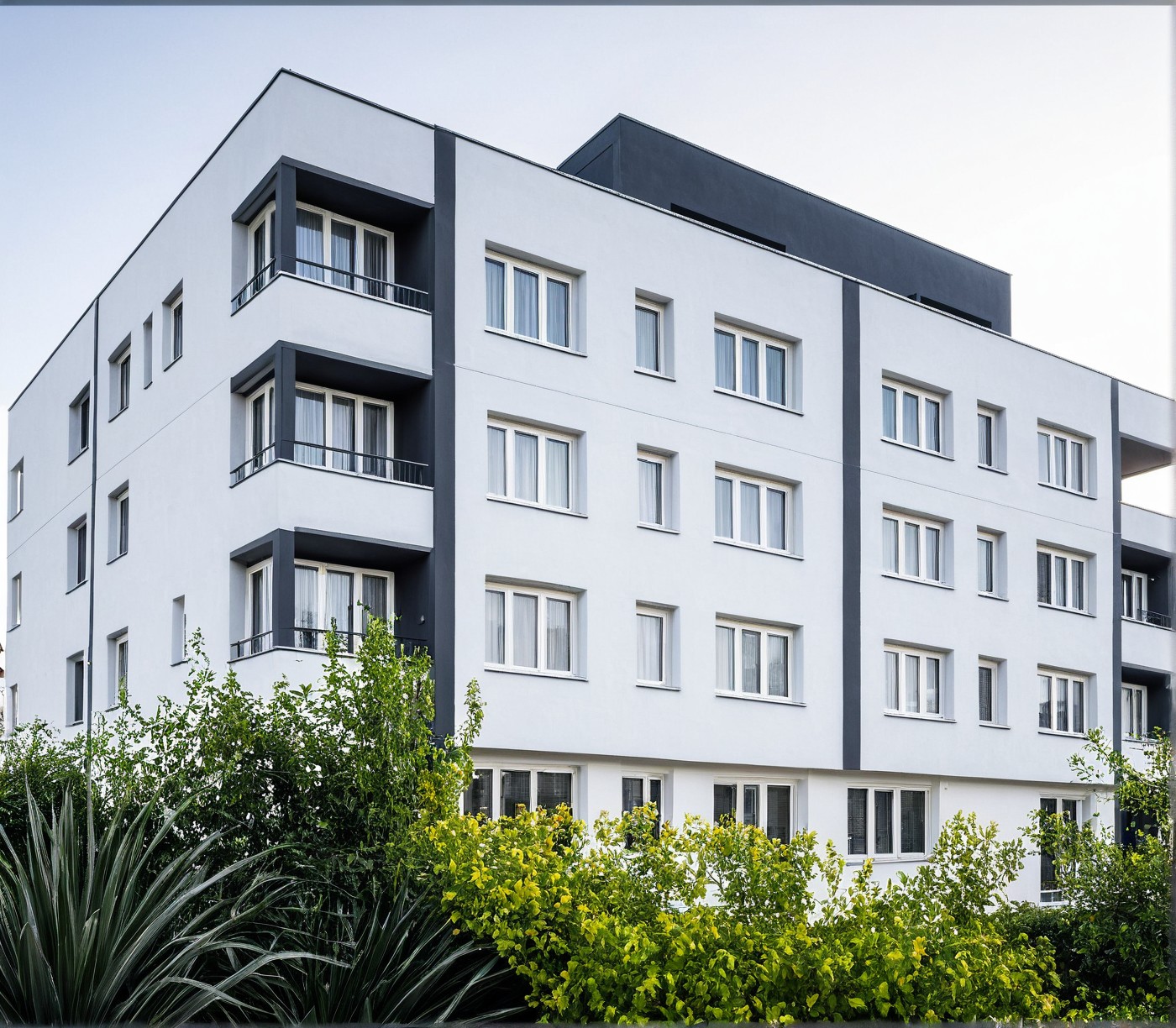 a placeholder image.