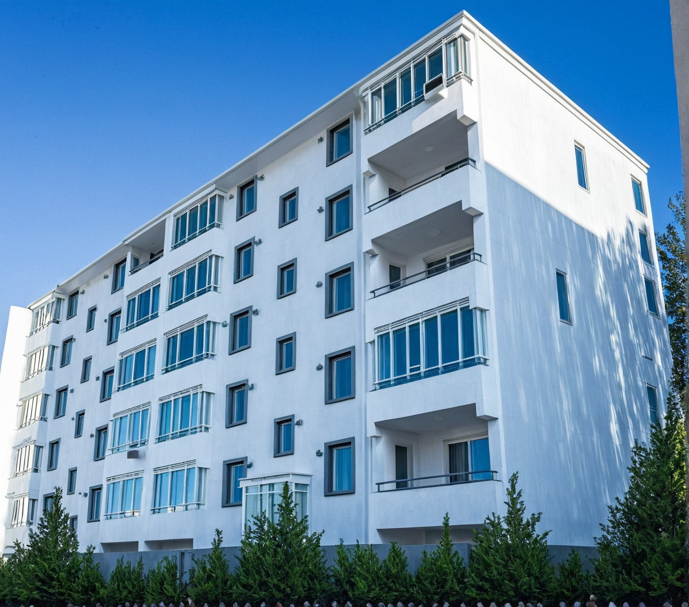 a placeholder image.